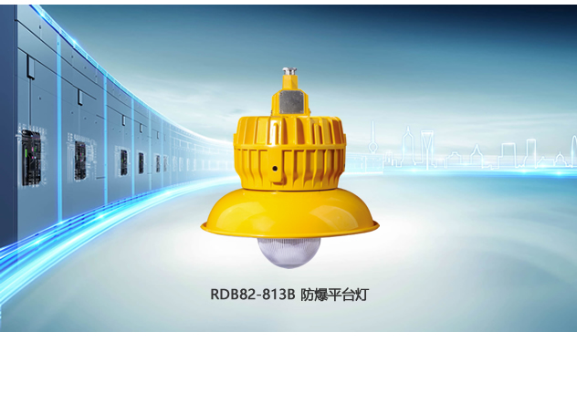RDB82-813B 防爆平臺燈